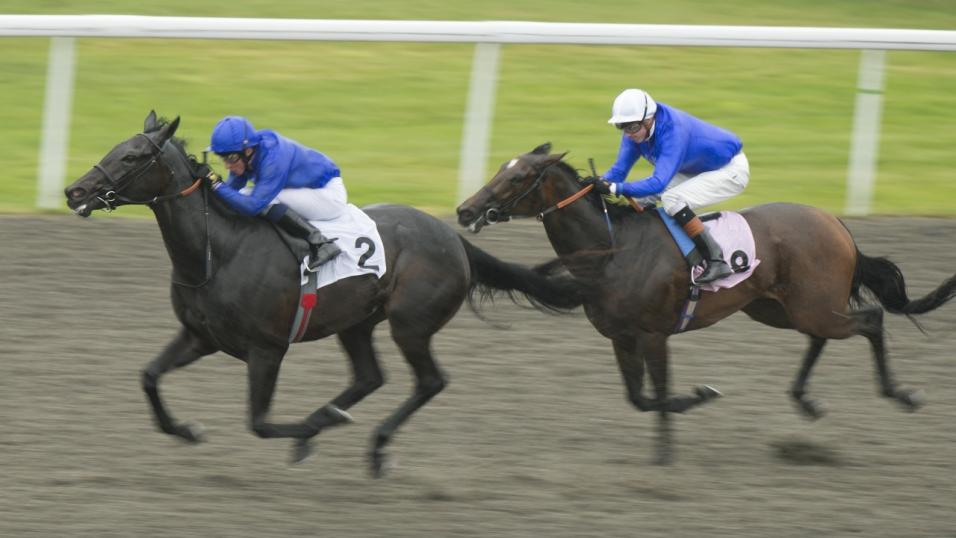 Godolphin one-two Kempton